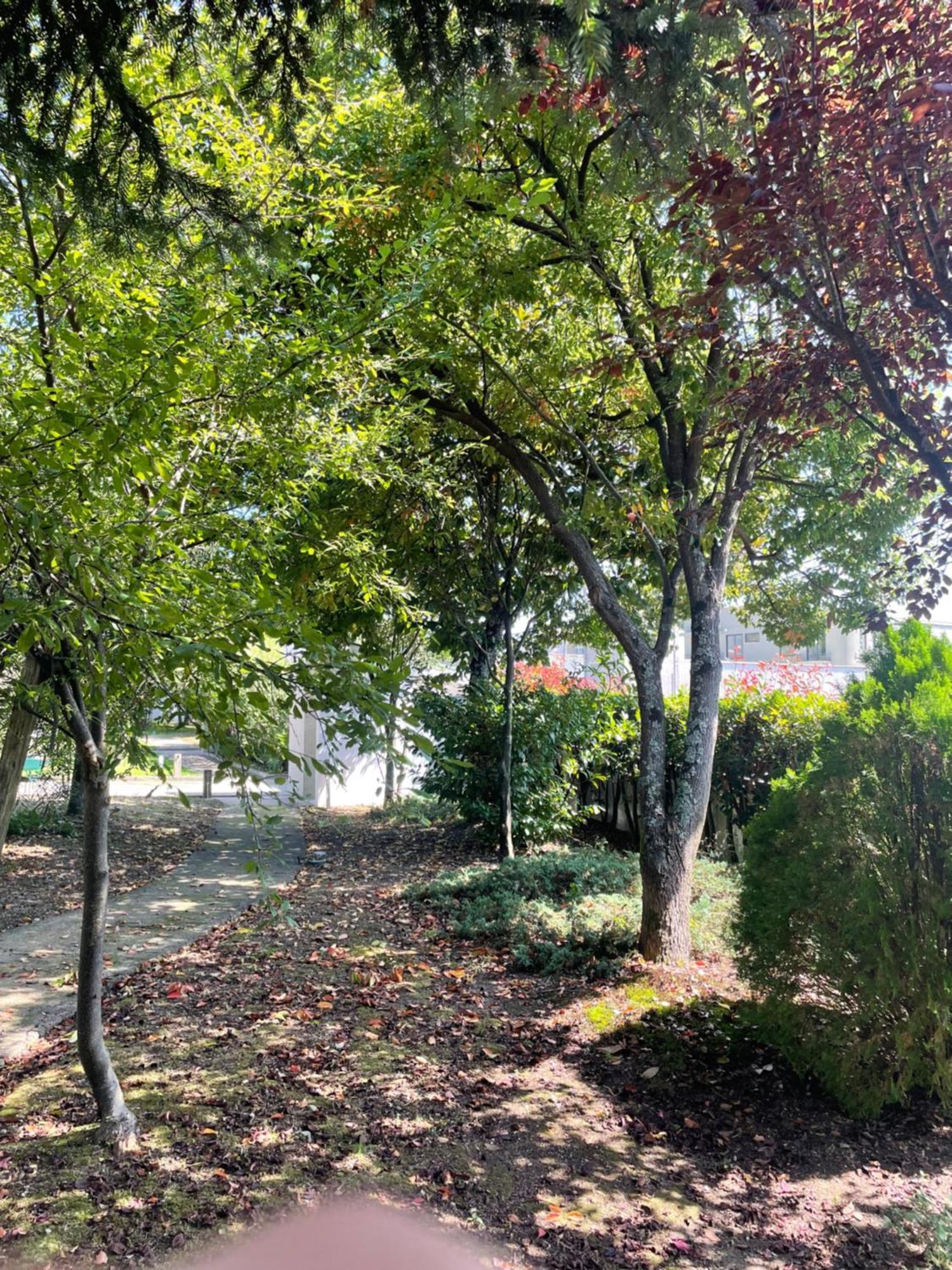 Casa De Lamacais Vilela  외부 사진
